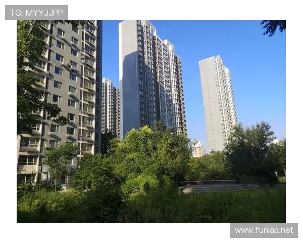 保定职工篮球联赛（保定市莲池区篮球俱乐部）sports